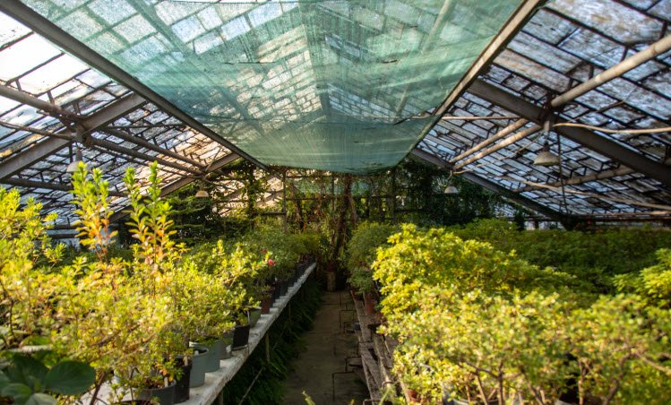 Kryvyi Rih Botanical Gardens, Ukraine